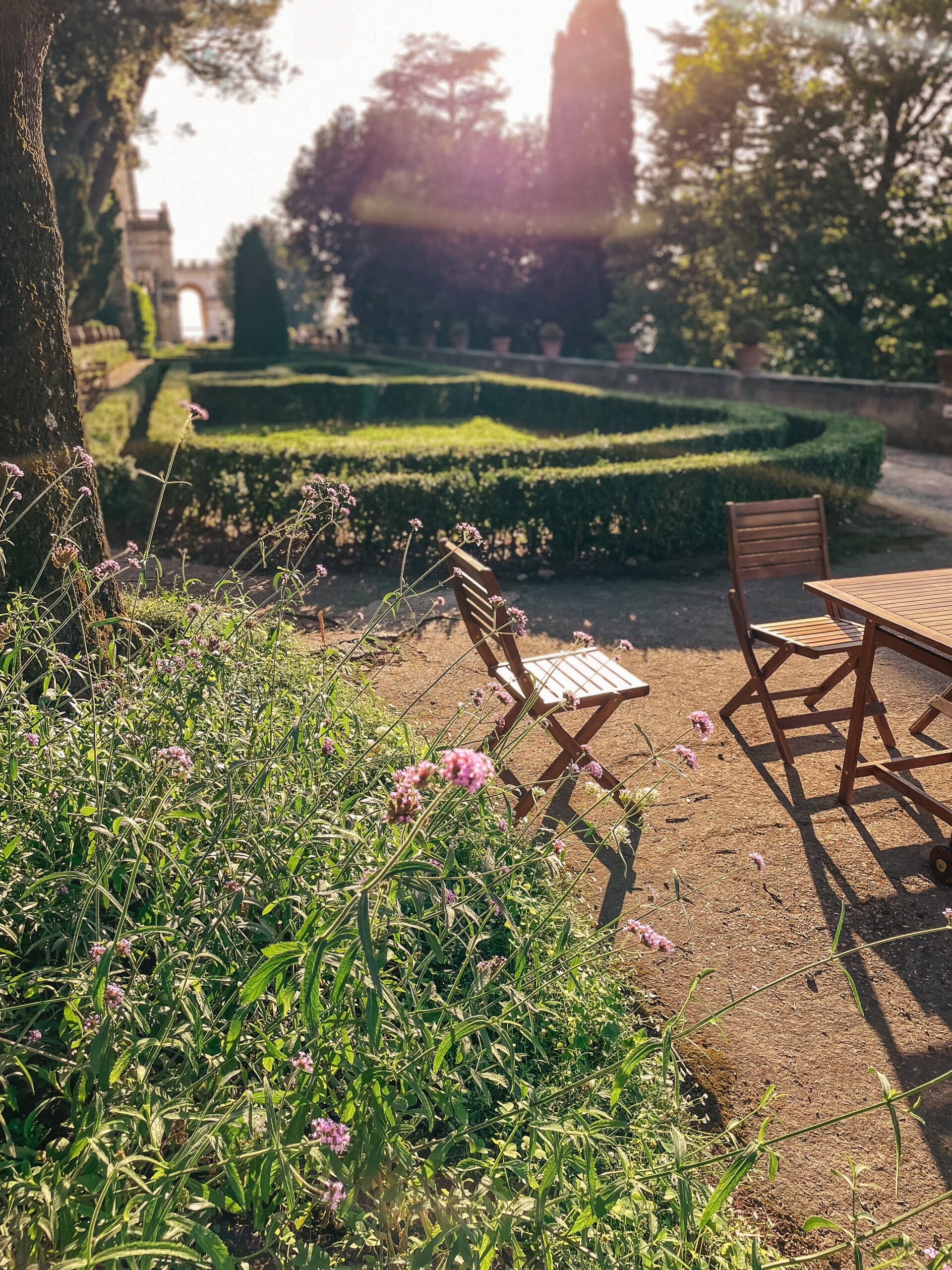 Outdoor garden courtyard and bistro chairs