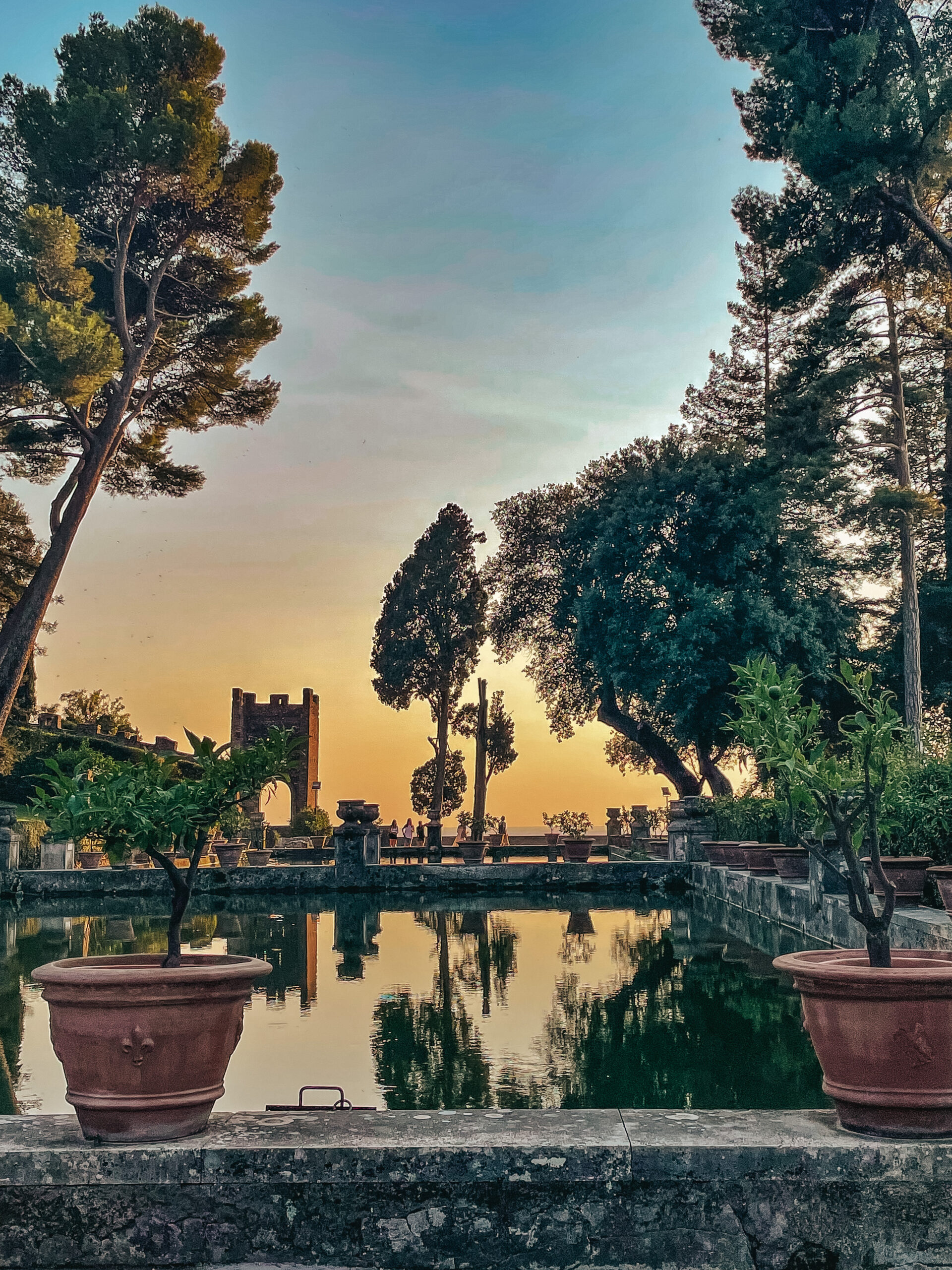 Outdoor garden pool at sunset